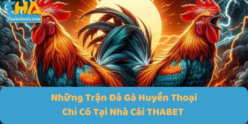 Những trận đá gà huyền thoại