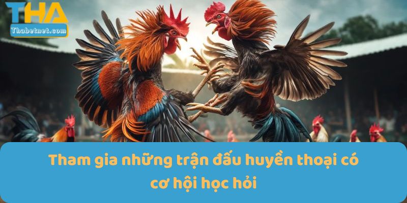 Tham gia những trận đấu huyền thoại có cơ hội học hỏi