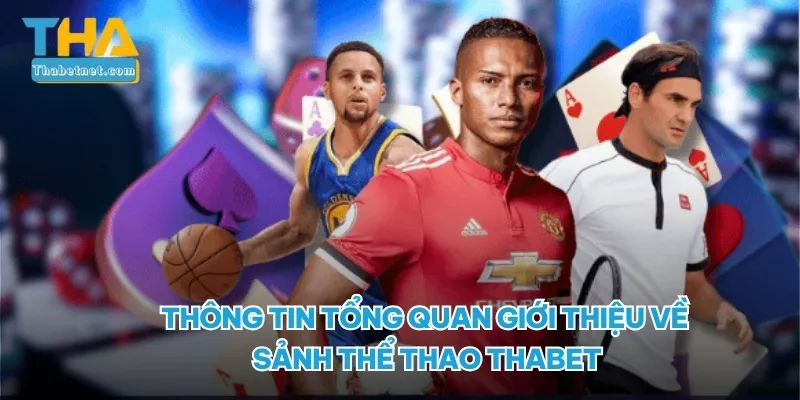 Thông tin tổng quan giới thiệu về sảnh thể thao THABET