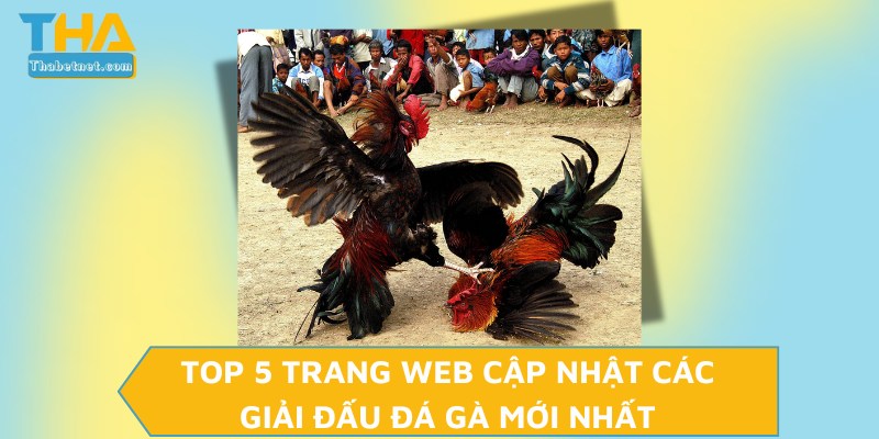 Top 5 trang web cập nhật các giải đấu đá gà mới nhất